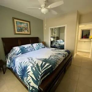 Apartment Beautiful In Tampa-a, Tampa