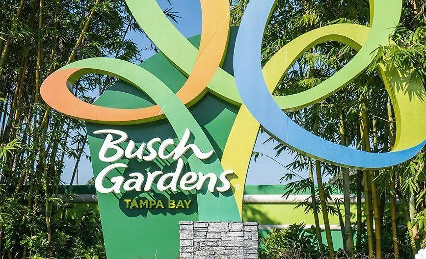 New 2Br Apartment Tampa